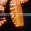 passenger crossing traffic light 300