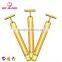 Home Use Device Anti-wrinkle face lifting 24K Gold-plating Energy Beauty Bar