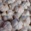 2016 Laiwu 5.5 Natural White Fresh Garlic