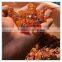Natural Peach Gum from Peach Fruit Tree