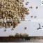 Bulk Expanded or Unexpanded Silver Vermiculite for Board Fireproof 0.3-1mm