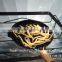 Solar Cooking / Sun dish cooker