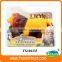 dinosaur king games, names of dinosaurs figurines with IC
