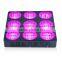 600W Spectrum Slective Led Grow Light,Commercial Project Grow Light