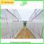 agriculture poly tunnel greenhouse for sale