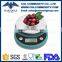 Elegant Stainless Steel Professional Digital Kitchen Food Scale