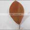 High quality artificial magnolia leaf