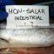 Frozen Salmon
