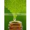 Mentha Oil