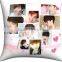 Short Plush 2way Custom Pillow DIY Picture/picture Pillow Cover/case