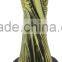 Professional custom Wood base trophy for winner