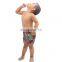 2017 Summer Wholesale Toddler Beachwear Children Swimsuit Kids Boys Swimwear