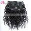 Clip in Human Hair Extensions Kinky Curl Mongolian Kinky Curly Hair