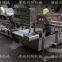 Clean vegetable water washing machine Clean vegetable eddy current cleaning line Clean vegetable processing equipment