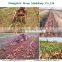 Carrots Garlic Potatoes Peanut Cassava combine Harvester Ginger digger machine Cassava Ginger digger machine
