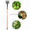 electric olive picking machine/almonds picking machine with low price