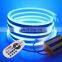 Outdoor Waterproof 110V  220V RGB LED Flex Neon Rope Tape Stripe Lighting