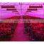 Super Bright Indoor Garden Greenhouse Plant 300w 600w 1000w 1200w 1500w 1800w 2000w full spectrum led grow light