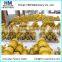 Dilling Rig BG28 Carrier Roller Upper Roller
