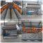 Industrial Brush Roller Fruit Washing Vegetable Washer Apple Fruit Washing Machine