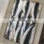 Good price frozen anchovy sprat fish fillets block