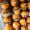 Kettle bells Female slimming men chest muscle arm muscle household fitness equipment paint lift pot dumbbells all steel