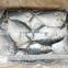 Frozen wholesale moon fish with size 150 - 200 g