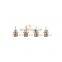 Foton Auman/Aumark/Miler/Land Pioneer Truck Spare Parts 1b24961200035 Front Door Long Nail
