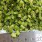 pure nature freeze dried green bell pepper distributor