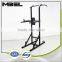 Fitness DPT506 Pull Up Assistance