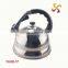 3.0L fashion design water cooling kettle with colorful coating on body