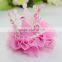 Kids Lace Crystal Girls Princess Hair Accessories Three-dimensional Tiaras Crown