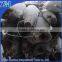 Frozen Style and IQF Freezing Process blue marlin