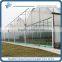 Plastic film Greenhouse large for Flowers Vegetables