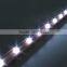 CE ROHS Approved Professional DC12V 20MM Single Color SMD 5050 Led Pixel Light With Long Lifespan