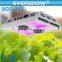 EverGrow 2016 Saga series Full Spectrum for Hydroponics plant led grow light