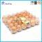Hot Selling Plastic Egg Box Case with low price