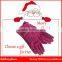 Helilai Customized Suede Leather Gloves Women smart phone Suede Gloves Ladies WInter Warm Gloves For Christmas Gifts
