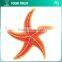 Tropical Wavy Strip Fish Embroidery Hot Applique Clothing Patches