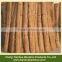 Rolling Window Blind