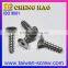 Customized Countersunk Pan Head Screws