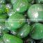 beige ruby round glass carft mosaic pebble