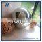 High Polishing Stainless Steel Ball