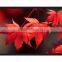 Best price projection screen fixed Frame projection screen for home and theatre