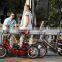 Lithium Electric Bicycle 200W-250W