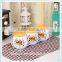 Ceramic Condiment Set Popular Condiment Dispenser Design