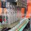 Full-Automatic PET Bottles Stretch Extrusion Blow Moulding Machine