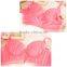 Hot Sale Ladies Nylon Bra and Panties Set, Lace Seamless Bra and Panties Set, lady sexy push up bra