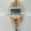 Mini 300kg electronic weighing crane scale