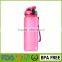 double wall sports big liter reusable large ounce insulated drink water bottle with straw
